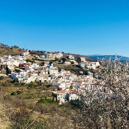 Casa Amigos Sorvilan - La Almendra Eksteriør bilde