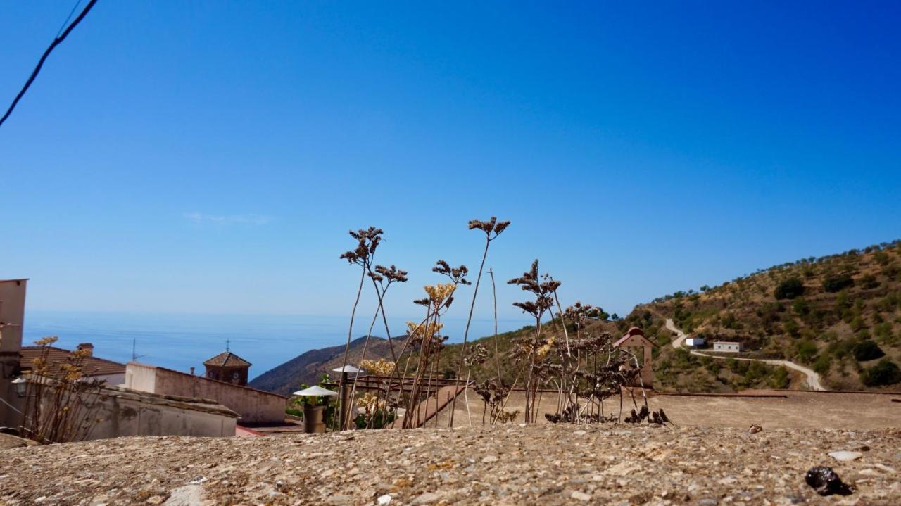 Casa Amigos Sorvilan - La Almendra Eksteriør bilde