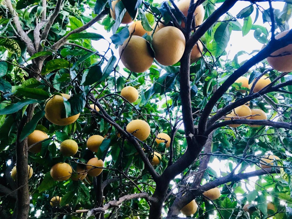 Casa Amigos Sorvilan - La Almendra Eksteriør bilde