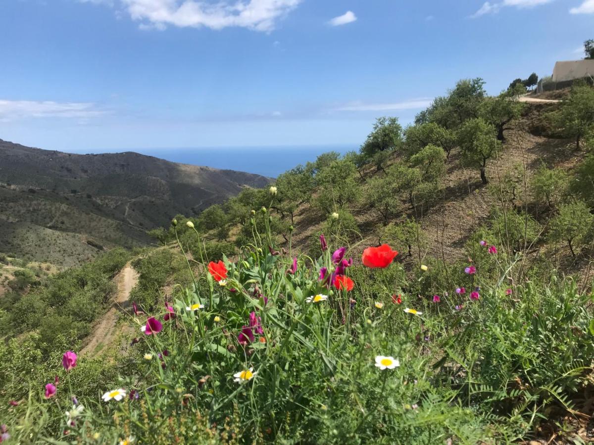Casa Amigos Sorvilan - La Almendra Eksteriør bilde