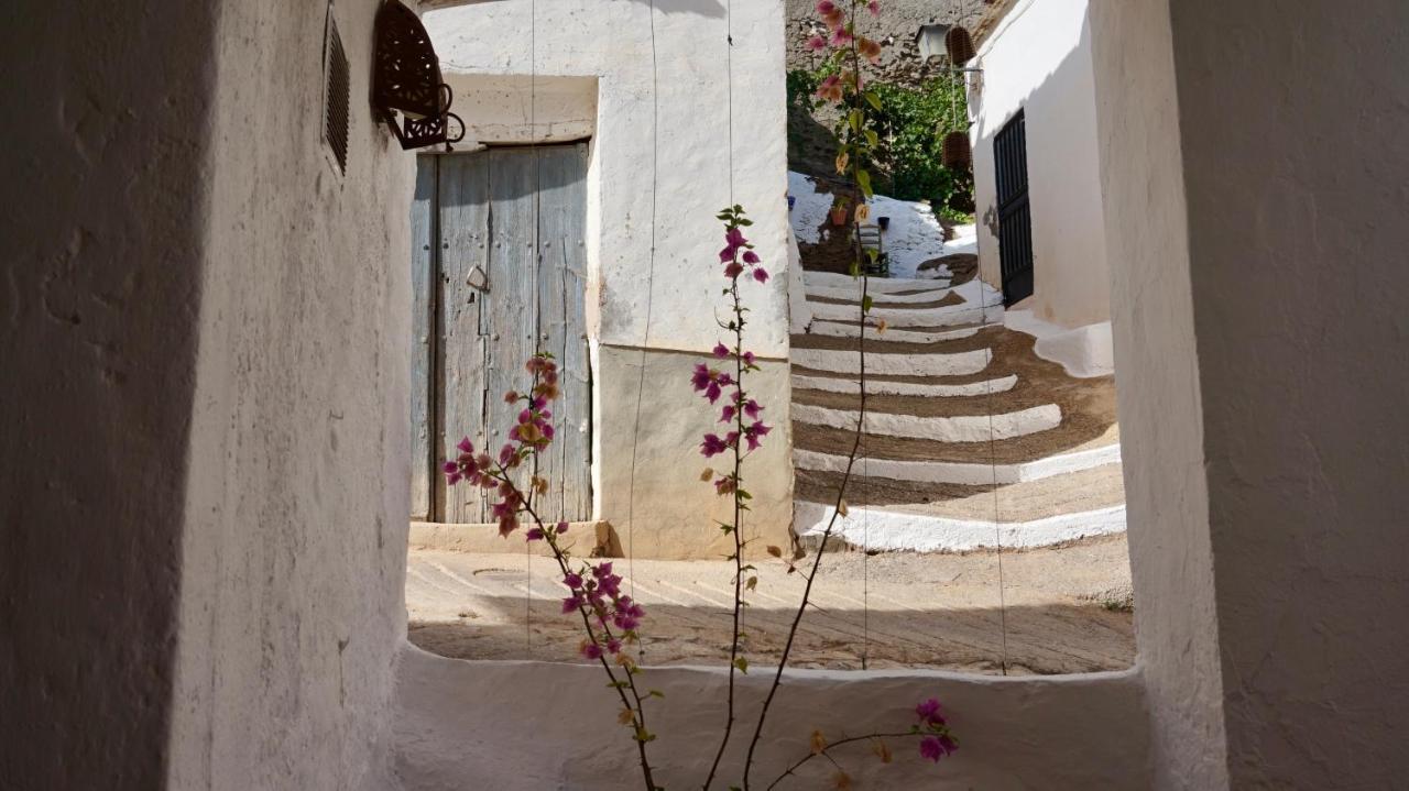 Casa Amigos Sorvilan - La Almendra Eksteriør bilde