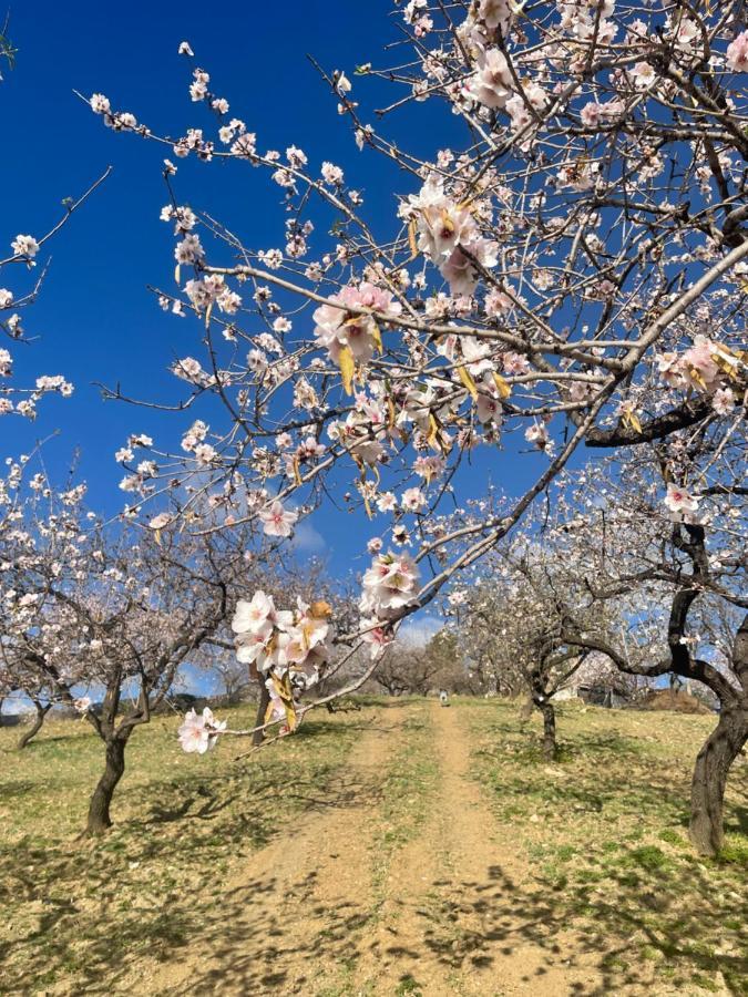 Casa Amigos Sorvilan - La Almendra Eksteriør bilde