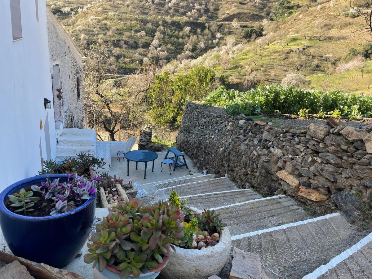 Casa Amigos Sorvilan - La Almendra Eksteriør bilde