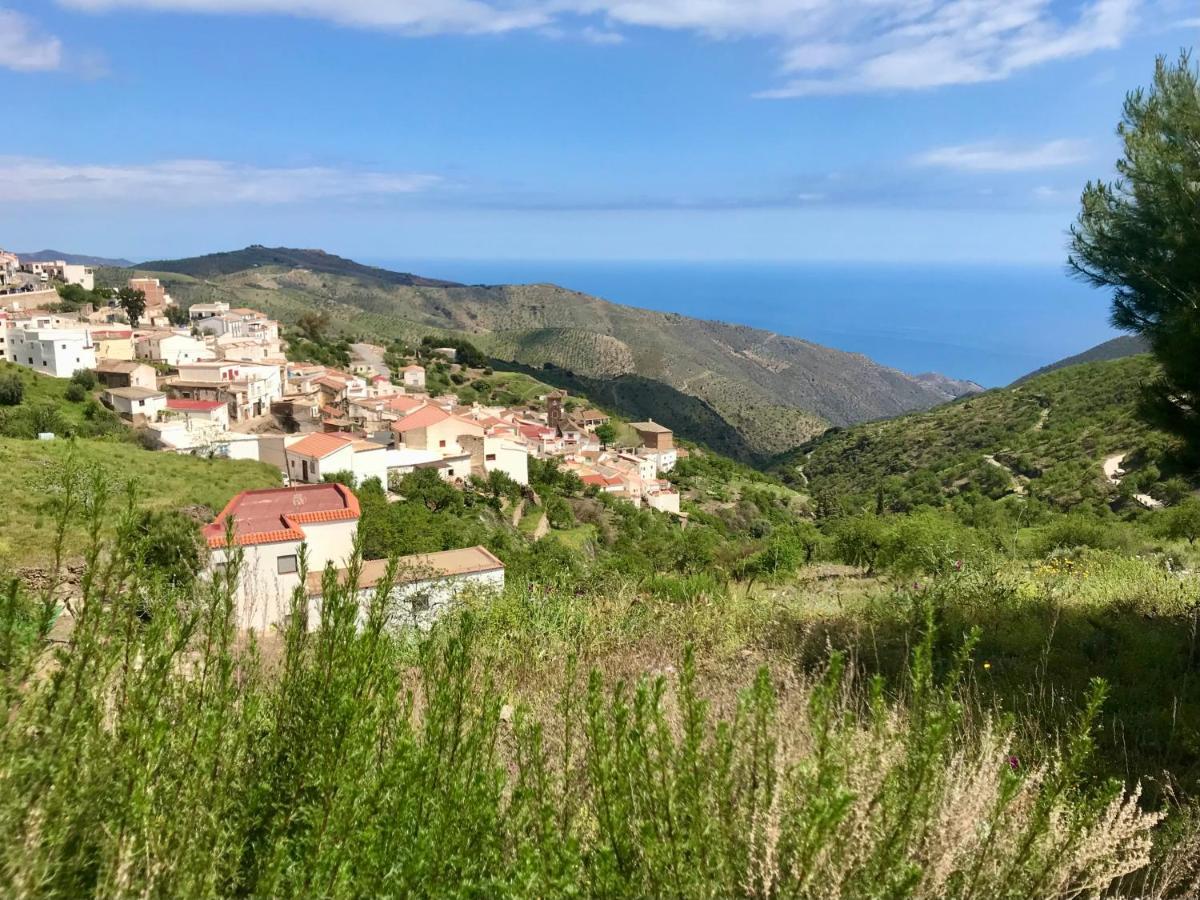 Casa Amigos Sorvilan - La Almendra Eksteriør bilde